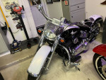2007 softail deluxe