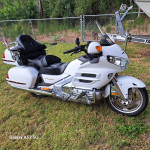 Goldwing