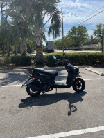 2023 Wolf 150 scooter- Black