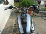 2006 Harley XL1200L Sportster Low (Black and Silver) Bike Runs Great