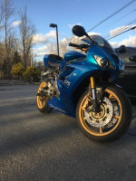 2008 Triumph Daytona 675