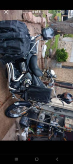 2006 Harley street bob