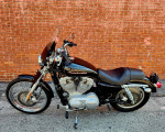 ** 2005 Harley Davidson Sportster 883 xl883C ** BLACK **