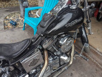 1997 Harley wideglide