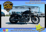 2019 Harley-Davidson XL883N Sportster Iron 883 - Financing Available!