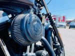 2019 Harley-Davidson XL883N Sportster Iron 883 - Financing Available!