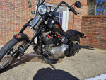 2009 CrossBone