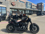 used 2019 Harley-Davidson Fat Bob 114