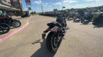 used 2019 Harley-Davidson Fat Bob 114