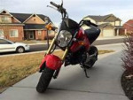 Honda Grom