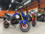 Best Deals on Vader 125 || Grom style bike with possible Honda upgrade