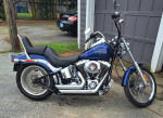 2007 HD Softail Custom