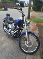 2007 HD Softail Custom