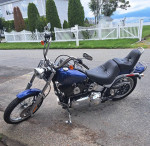 2007 HD Softail Custom