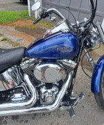 2007 HD Softail Custom