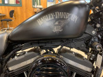 H-D Certified 2017 Harley-Davidson XL-883N