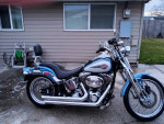 Harley Davidson 2006 Springer Softail