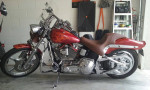 Custom 2000 Softail Standard