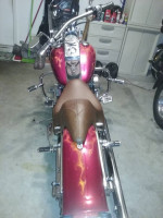 Custom 2000 Softail Standard