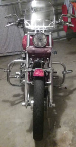 Custom 2000 Softail Standard