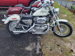 2000 harley davidson sportster 883 custom