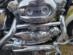 2000 harley davidson sportster 883 custom