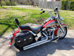 1995 HARLEY-DAVIDSON SOFTAIL - Very Nice !!