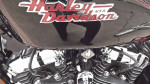 1999 Harley 1200 Sportster Custom