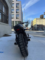 2012 Triumph Scrambler Standard