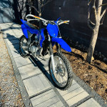 Yamaha TTR125