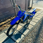 Yamaha TTR125