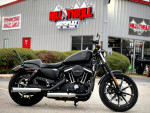 2019 Harley Davidson XL883N Sportster Iron 883 - Financing Available!