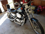 2002 Harley Davidson Sportster 1200 custom
