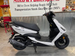 2022 Scootstar Racestar Moped