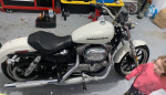 2018 Harley xl883