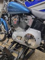 Harley davidson softail standard EFI "low low miles!"