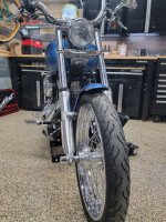 Harley davidson softail standard EFI "low low miles!"