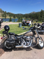 2004 Harley Davidson Fat Boy
