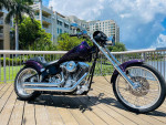 1998 American Eagle Custom Chopper super nice ride