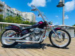 2001 Big Dog Mastiff Chopper amazing lots of extras
