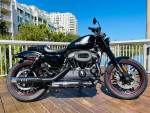 2016 Harley Davidson Roadster Sportster 1200 amazing condition FINANCI
