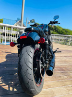 2016 Harley Davidson Roadster Sportster 1200 amazing condition FINANCI