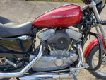 2004 HARLEY-DAVIDSON XL883 SPORTSTER
