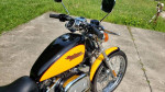2001 Harley-Davidson XL1200C Sportster