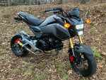 2018 HONDA GROM - Ready for 2024!