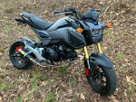 2018 HONDA GROM - Ready for 2024!