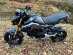 2018 HONDA GROM - Ready for 2024!