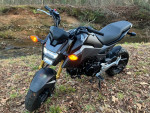 2018 HONDA GROM - Ready for 2024!