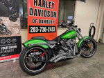 FACTORY CUSTOM PAINT - 2015 SOFTAIL BREAKOUT FXSB (#5446)