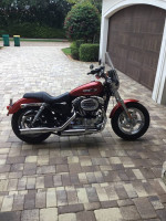 2014 Harley Davidson Sportster 1200 Custom